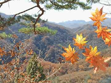 安徽太湖縣殷姓來源分布探秘